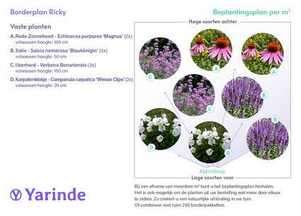 Beetplan Ricky Angebot – Beetpaket für den sonnigen Garten – Lila &amp; Gelb