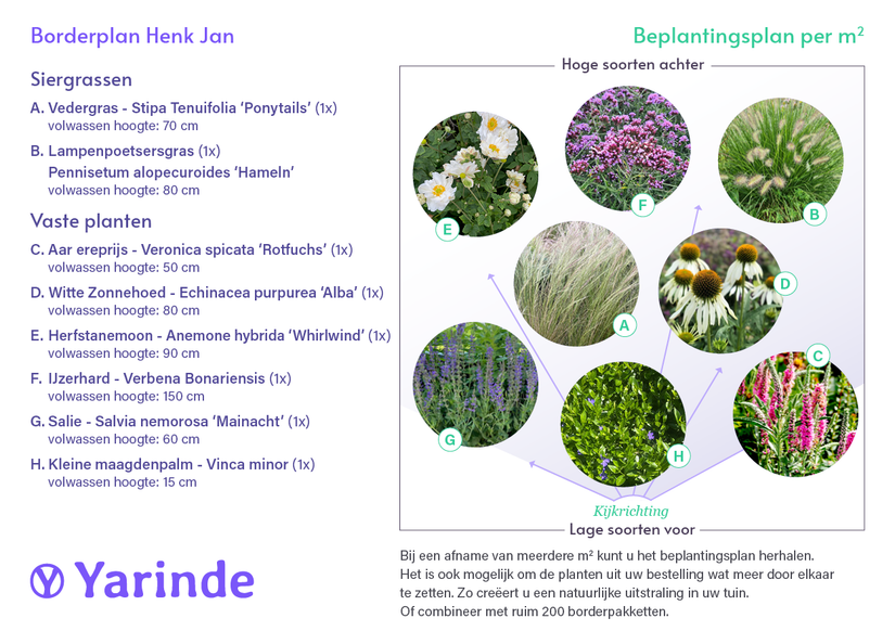 Beetpaket Henk Jan - Mischung aus Ziergras und Stauden - Lila &amp; Weiß - Sonne