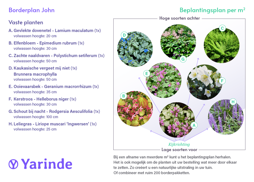 Beetpaket John - Schattenpflanzen / Sandboden