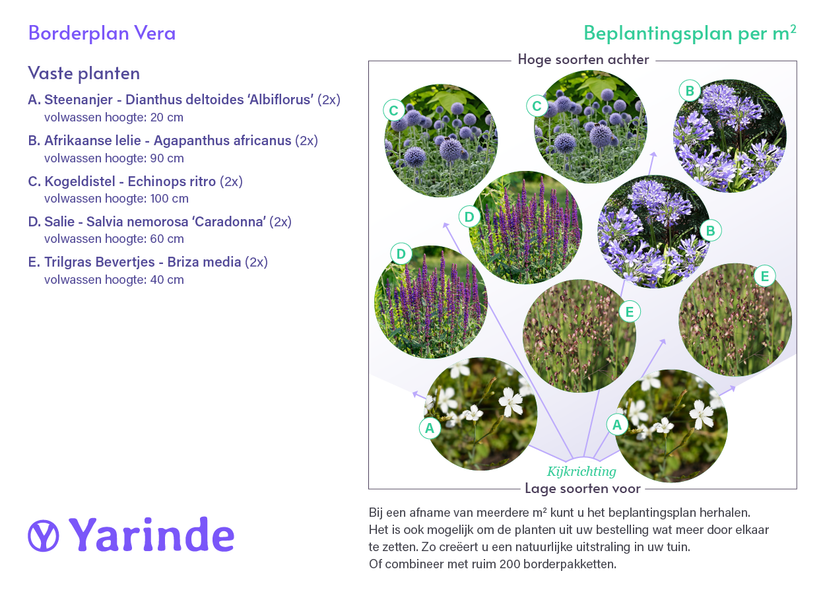 Beetpaket Vera - Spezialpflanzenmischung - Sonne