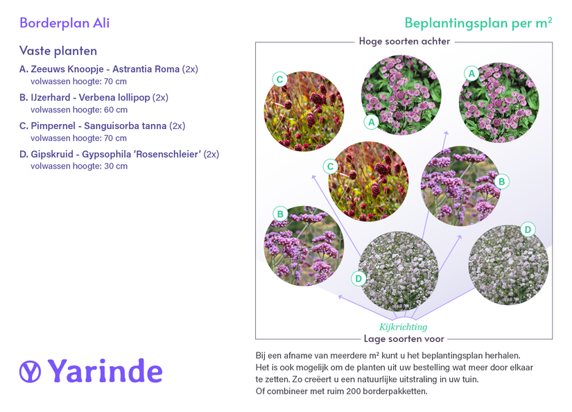 Beetpaket Ali - Sonniger Garten mit rosa/roten Tönen