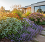 Salvia off. 'Berggarten' met Kattenkruid, Ooievaarsbek rozanne, Duizendblad paprika, lampenpoetsersgras hameln en Sedum matrona
