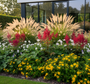 Hypericum calycinum met astilbe fanal, rotsooievaarsbek wit, vinca major en lampenpoetsersgras hameln in bedrijfstuin beplanting