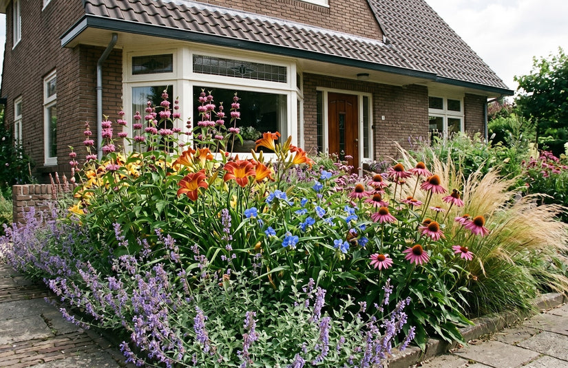 Phlomis tuberosa (links boven) met daglelie 'hemerocallis' frans hals, eendagsbloem blauw, lampepoetsersgras 'pennisetum hameln', zonnehoed 'echinacea purpurea' en kattenkruid 'nepeta walker's low' aan de rand