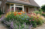 Phlomis tuberosa (links boven) met daglelie 'hemerocallis' frans hals, eendagsbloem blauw, lampepoetsersgras 'pennisetum hameln', zonnehoed 'echinacea purpurea' en kattenkruid 'nepeta walker's low' aan de rand