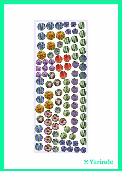 Robert Jans fertiger Pflanzplan – Rechteckiges Blumenbeet – Halbschatten und Sonne (9 m2)