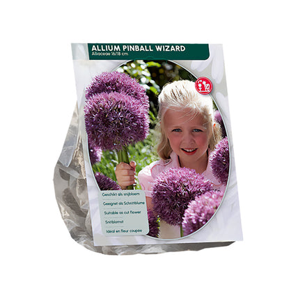 Zierlauch Allium 'Pinball Wizard' - 6 Blumenzwiebeln