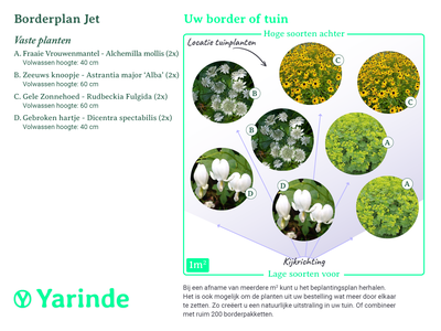 beplantingsplan