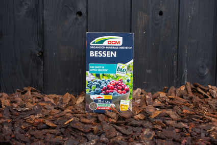 Dünger für Beeren – Für reiche Ernte und saftige Beeren – DCM Bio