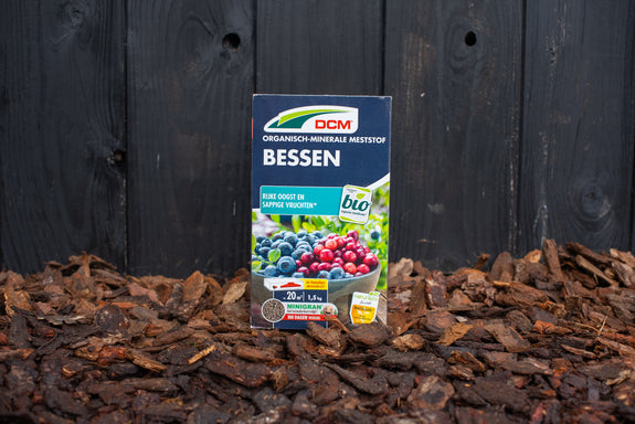 Dünger für Beeren – Für reiche Ernte und saftige Beeren – DCM Bio