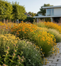 Beetpaket Liza - Stauden Gelb - Präriegarten - So