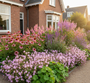 geranium rose clair met Zonnehoed Echinacea' 
Lavendel 
Vrouwenmantel 'Alchemilla' vooraan
Dropplant 'Agastache'
Rode Zonnekruid 'Helenium' 
Brandkruid 'Phlomis' roze soort
Salie 'Salvia' Caradonna