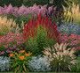 Grote pimpernel - Sanguisorba officinalis midden in grote border met koninginnekruid en zwarte ereprijs erachter, rode zonnehoed, struisriet en kogeldistel echinops ernaast en lampenpoetsersgras, daglelie's en stachys ervoor.