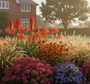kniphofia uvaria grandiflora met Montbretia 'Crocosmia' , rode spoorbloem, lage bergasters, zonnekruid moerheim beauty en pennisetum hameln,