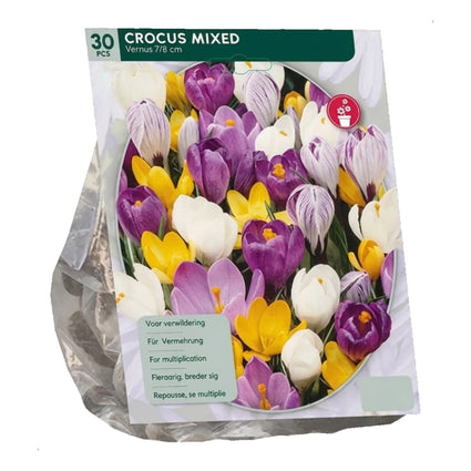 Großblumige Krokus Blumenzwiebeln 90 Stück - Krokus Mischfarben