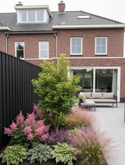 meerstammig parrotia persica