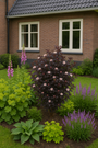 ai sfeerbeeld met digital, liriope, hosta en alchemilla combinatie