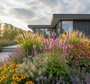 prachtriet gracillimus gracillimus combineren met IJzerhard 'Verbena bonariensis' 
Ezelsoor 'Stachys byzantina' ervoor

Zonnehoed 'Echinacea' 

Dropplant 'Agastache' 

Brandkruid 'Phlomis'

Lampenpoetsersgras 'Pennisetum'
