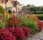 Centranthus ruber 'Coccineus' met Zonnekruid 'Helenium' Moerheim Beauty

IJzerhard 'Verbena' bon.

Daglelie 'Hemerocallis' frans hals

Chinese Ruit 'Thalictrum'

Vuurpijl 'Kniphofia' royal castle

Duizendblad 'Achillea' cersie queen