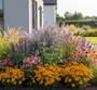 Gele Zonnehoed Rudbeckia deamii in border met Rode Zonnehoed , Salie blauhugel, Kogeldistel echinops Veitch's blue, Dropplant blue fortune, siergrassen zoals Lampenpoetsersgras hameln en Pijpestrootje moorhexe