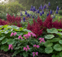 Chelone obliqua in border met Astilbe fanal, Alchemilla mollis, en Monnikskap Aconitum blauw