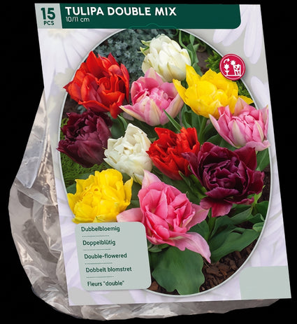Blumenzwiebeln Tulpen 45 Stück gemischt - Tulipa Double Mix