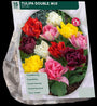 Blumenzwiebeln Tulpen 45 Stück gemischt - Tulipa Double Mix