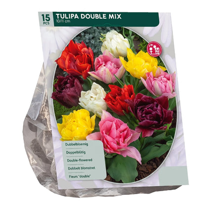 Blumenzwiebeln Tulpen 45 Stück gemischt - Tulipa Double Mix
