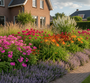 Veronicastrum album in border bij jaren 30 woning met Daglelie 'Hemerocallis'

Zonnekruid 'Helenium'

Bergamotplant 'Monarda'

Vlambloem 'Phlox'

Kattenkruid 'Nepeta' als randbeplanting

Siergrassen zoals Pijpestrootje, Struisriet en Lampenpoetsersgrassen