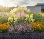 veronicastrum pink glow in border met Glidkruid 'Scutellaria' als randbeplanting

Geitenbaard 'Aruncus' in diepere borders er achter

Beemdkroon 'Knautia' er voor

Brandkruid 'Phlomis' er voor of er naast

Kogeldistel 'Echinops'  er voor of er naast

Zonnekruid 'Helenium' 