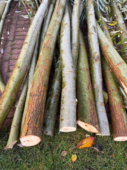 Weidenzweigständer - Bündel 10 Stück - Durchmesser ca. 4 cm. - Länge 2,70 m