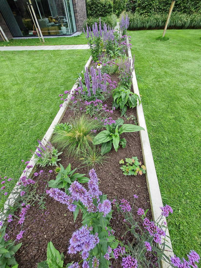 5 m2 Borderpakket Fenne in combinatie met 6 m2 Borderpakket Henk jan