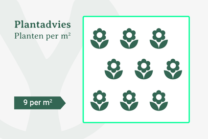 Plantadvies bij 9 planten per m2