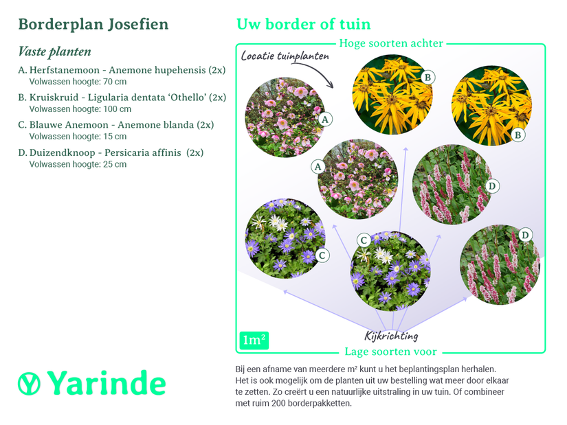 Beplantingsplan borderpakket Josefien