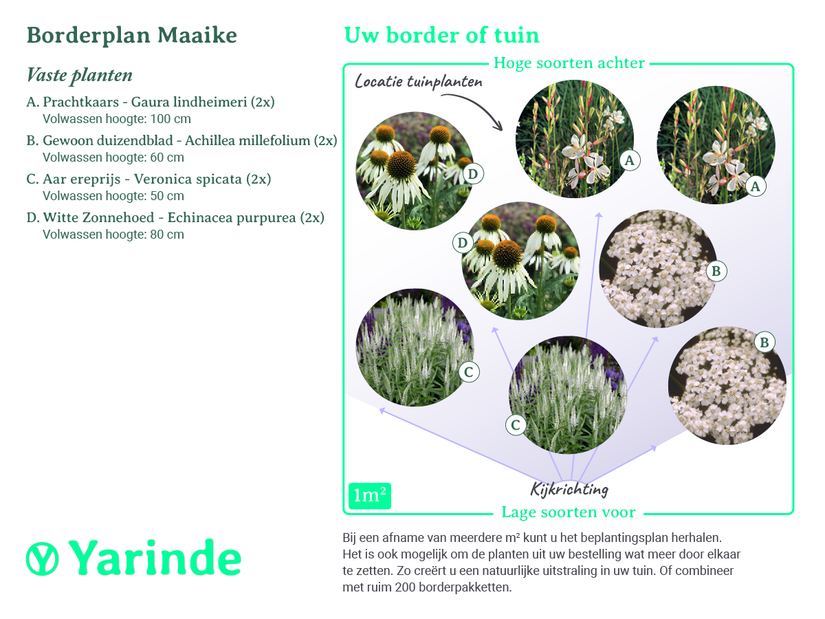  Beplantingsplan Maaike