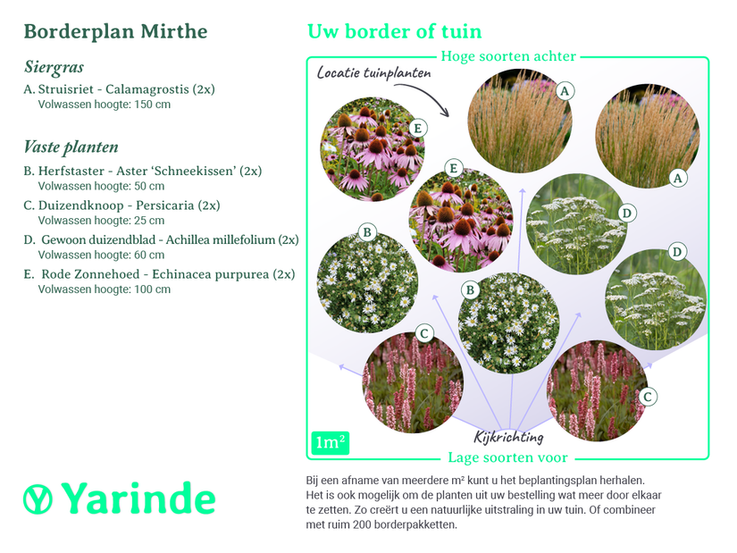 Beplantingsplan Mirthe