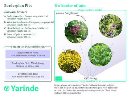 Beplantingsplan Piet