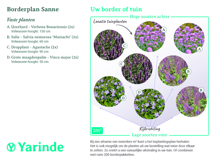 Beplantingsplan borderpakket Sanne