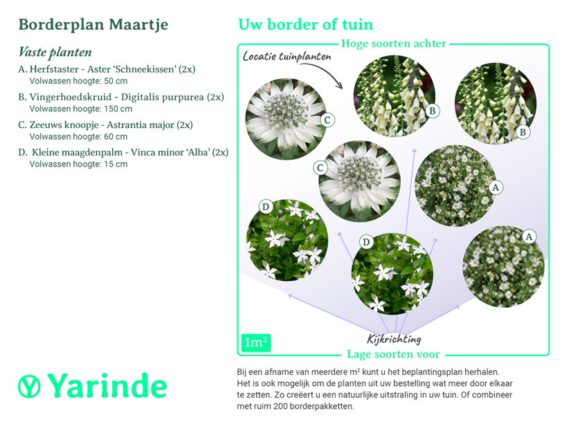 Beplantingsplan borderpakket Maartje