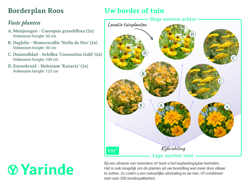 Beplantingsplan borderpakket Roos