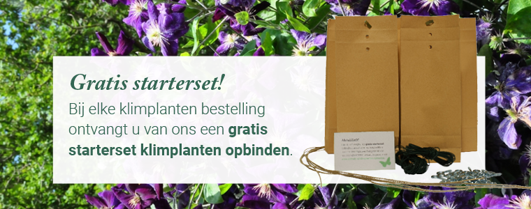 Gratis opbindset klimplanten yarinde