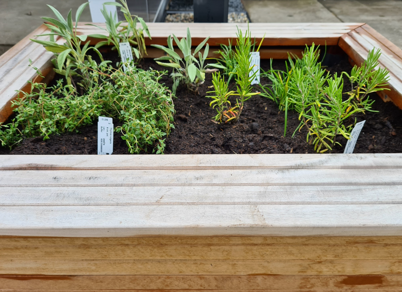 eetbaar tuinplanten borderpakket