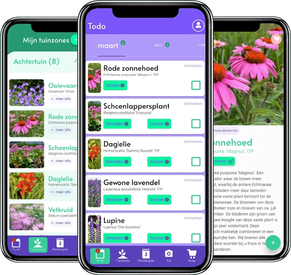 Die Yarinde Garten-App mit Aufgabenliste, Gartenzonen und Pflanzenführer